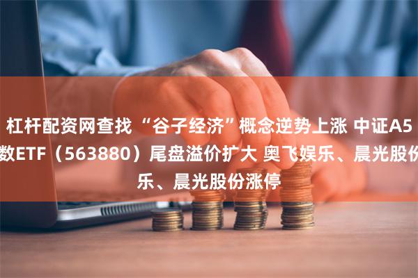 杠杆配资网查找 “谷子经济”概念逆势上涨 中证A500指数ETF（563880）尾盘溢价扩大 奥飞娱乐、晨光股份涨停